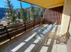 Appartement spacieux avec belle terrasse, proche pistes et commerces de Pra Loup 1600 - FR-1-165A-188