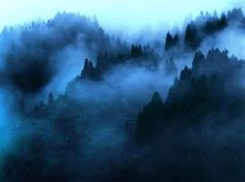 "Mount'n mist"
