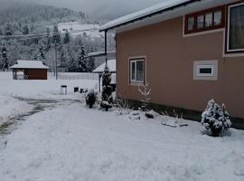 Затишний будиночок біля річки, hotel in Krivorovnya