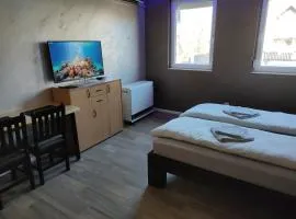 Left Coast studio apartment