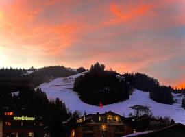 Spa, Sport & City Luxury Ski-in Ski-Out Apartment, luxusní hotel v Kitzbuhelu