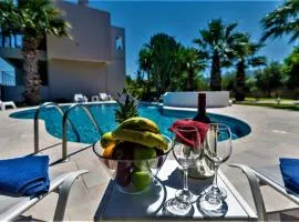 XENOS VILLA 2 with a private pool,near the sea
