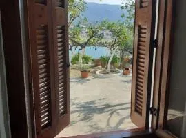 Garden Sea View
