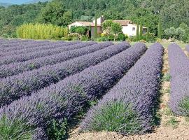 Mas de Longuefeuille, bed & breakfast i Malaucène