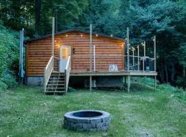Modern Mountain Cabin - Spectacular Views at 3100 ft