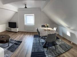 Appartement En Allemagne près de Strasbourg, ξενοδοχείο με πάρκινγκ σε Willstätt