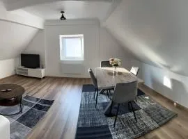 Willstätt Apartment 50M2