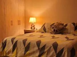 dpto x día chillan 1411