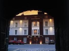 Hayden's Hotel, hotel din Ballinasloe