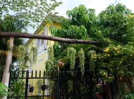 Homestay Yellow Natural House