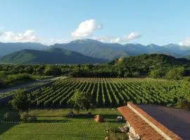 Chubini Winery & Cabins