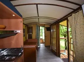 terrebio bungalow