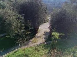 Εξοχικό κατάλυμα στο Βιρο Κέρκυρας