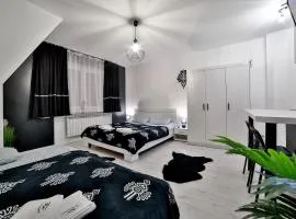 Apartamenty Czarna Perła z jacuzzi w cenie - mini strefa spa - blisko basenów termalnych