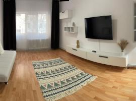 Enjoy Apartment Barlad, апартамент в Bîrlad