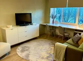 Sunny apartment, 7 min with tram to the Old Town