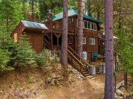 Lewis Creek cabin near Yosemite king beds: Oakhurst şehrinde bir kulübe