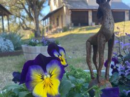 V700 Ranch Stays (Guesthouse)-A Tucked Away Gem, hotel in Marble Falls