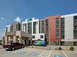 Holiday Inn Express Hotel & Suites Dallas Fort Worth Airport South by IHG