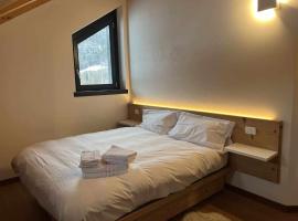 Casa Giuliana con SkiBus Gratis – apartament w mieście Alpe Strencia
