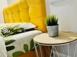 Belveder Center Home