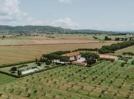 Terra di Cortona