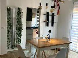 Il Tortellino vagante - Elegant Apartment