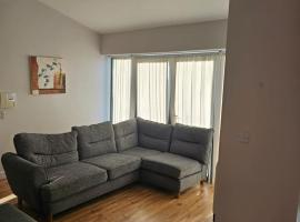 Cozy 2 Bedroom Apartment, apartment sa Kilkenny