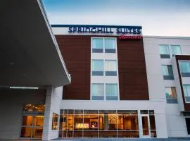 SpringHill Suites by Marriott Wisconsin Dells