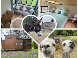 Tiny Home + Donkeys + Alpacas, minitalo kohteessa Tamborine