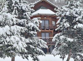 Lucky Vila de V&acirc;nătoare, acomoda&ccedil;&atilde;o com onsen em V&icirc;lcele