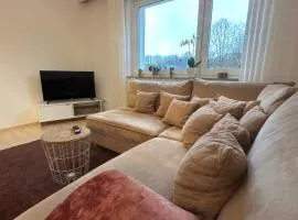 Gemütliches Appartement - WBS
