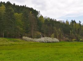 The Elbe Sandstone Cottage、イェトジホヴィツェの別荘