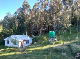 Donde La Euli., hotel di Pitrufquén