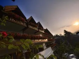 Hotel Alpenhof