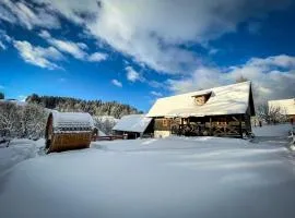 Traditional deer Cabin with Sauna - Chata Srňacie