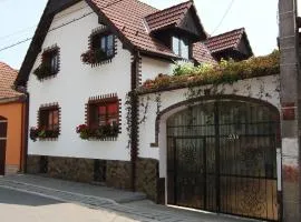 Casa de vacanta Vidrighin