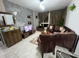 Luxury apartment Downtown Cairo (Amazing, Central)