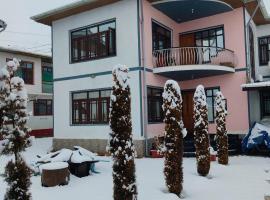 Kashmir Homestay