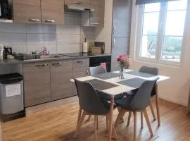 Appartement 2 chambres vue loire