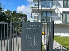 Jantaris Mielno A13