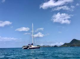 Baradozig, boat in Terre-de-Haut