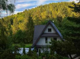 Zaciszny Zakątek Zawoja, habitación en casa particular en Zawoja