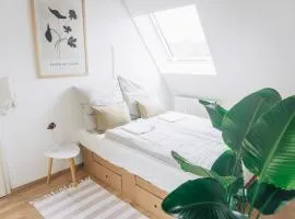 raum life - Refugium über Dächer