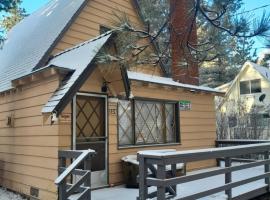 Come back to1950's!, pet-friendly hotel in Big Bear City