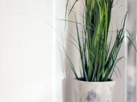 B&auml;rengasse Apartments