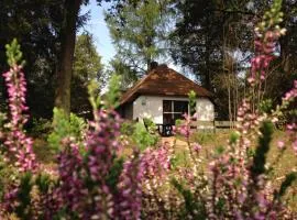 Tiny House de Berken
