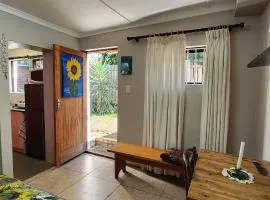 Sundance in Central Greyton
