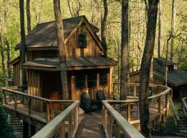 The Hemlock in Treehouse Grove at Norton Creek