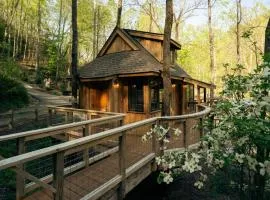 The Elm in Treehouse Grove at Norton Creek